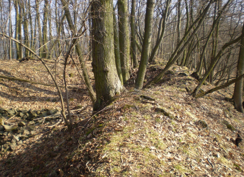 Horákovský Hrad (Rozcestník), Czech Republic (Czechia)